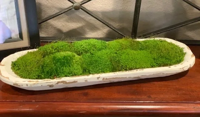 20” Moss Small Bread Bowl