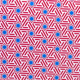 Americana Stars and Stripes Poly Spandex Swimsuit Fabric