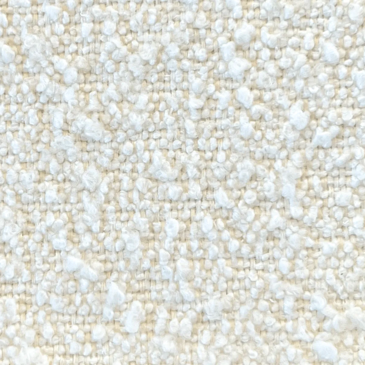 Boucle Ivory - Swatch