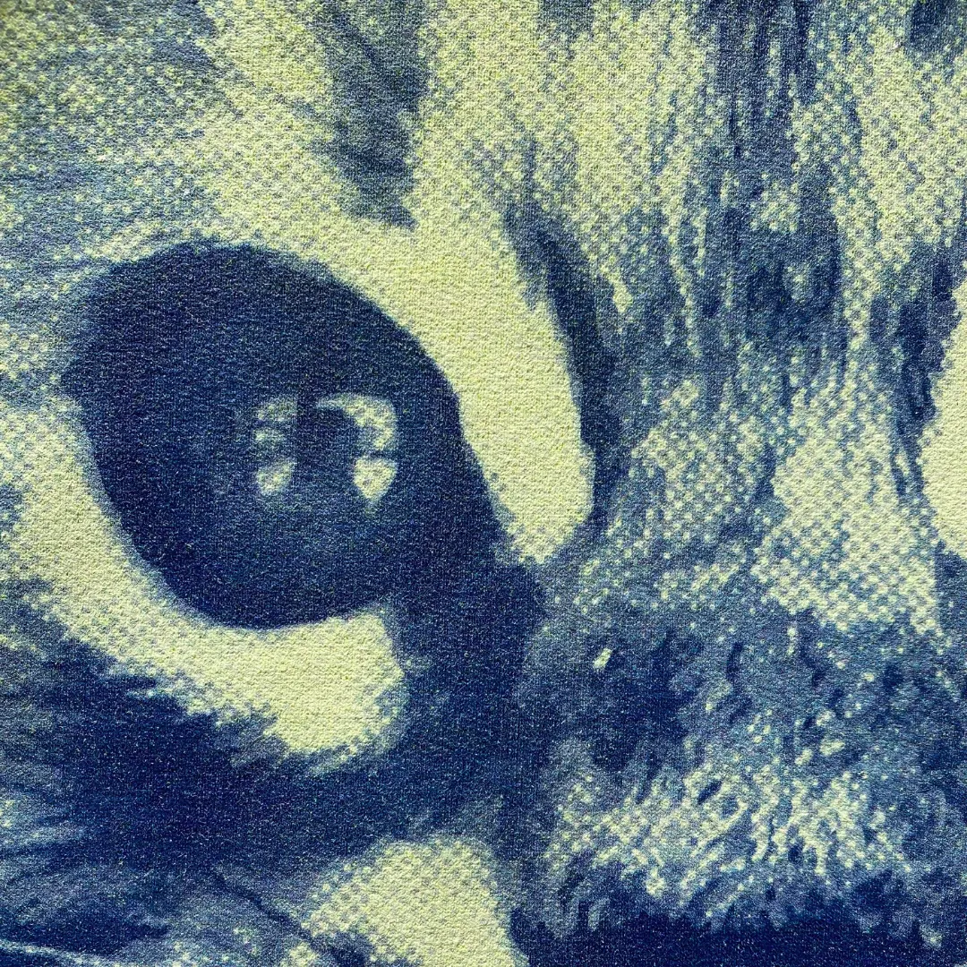 Framed Blue Cat Hoodie