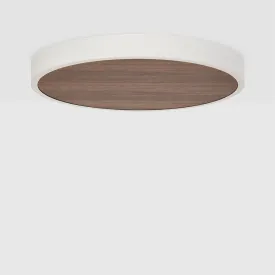 Large Canopy in Walnut
