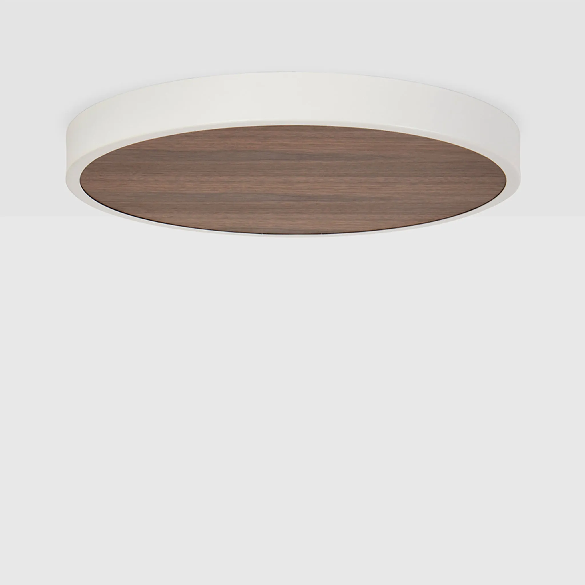 Large Canopy in Walnut